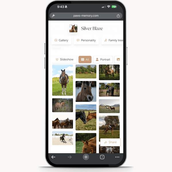 Upload Photos & Videos